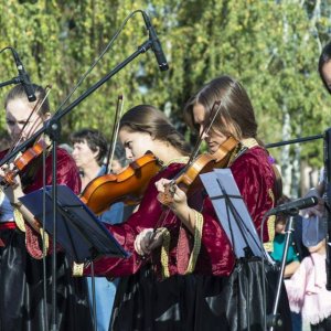 Višnjićevi dani 2013.